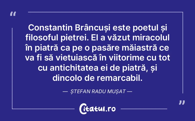 Constantin Brâncuși este poetul și filosoful pietrei. El a văzut miracolul în piatră ca pe o pasăre măiastră ce va fi să viețuiască în viitorime cu tot cu antichitatea ei de piatră, și dincolo de remarcabil. Ștefan Radu Mușat