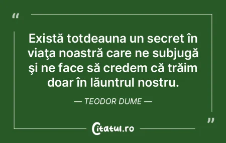 Am întâlnit pe cineva care avea o abor...