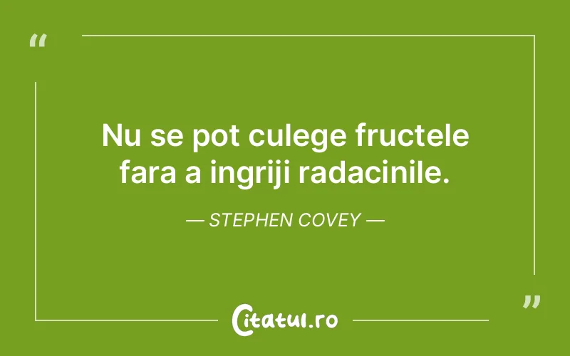Citat Stephen Covey - citate viata