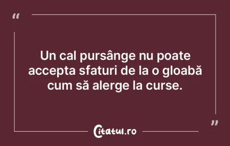 Fii ca o raţă: calm la suprafaţă, da...