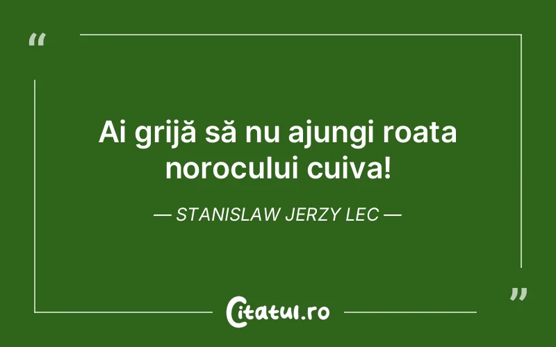 Citat Stanislaw Jerzy Lec - citate viata