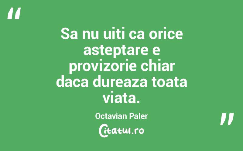 Sa nu uiti ca orice asteptare e provizorie chiar daca dureaza toata viata.  Octavian Paler