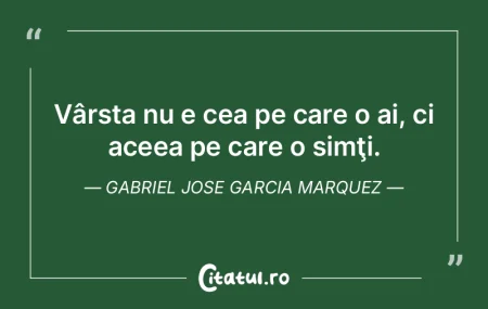Nu este vocea cea care comandă povestea...