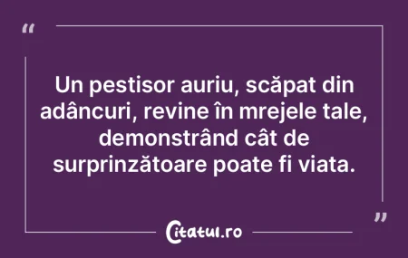 Fiecare secundă din viață merită res... Fiecare secundă din viață merită res...