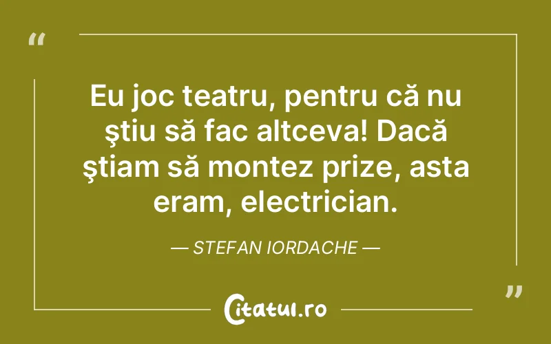 Citat Stefan Iordache - citate viata
