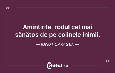 Amintirile sunt icoanele timpului pierdu... Amintirile sunt icoanele timpului pierdu...