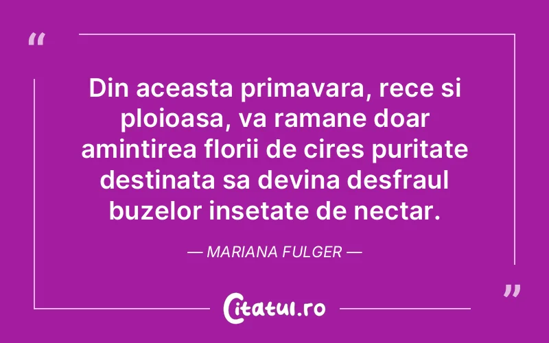 Citat Mariana Fulger - citate viata