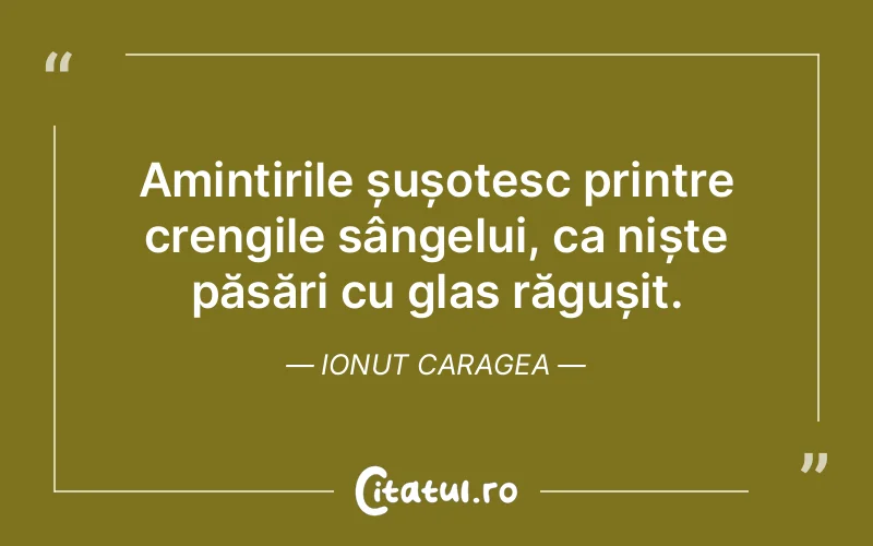 Citat Ionut Caragea - citate viata