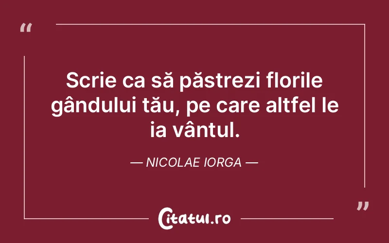 Citat Nicolae Iorga - citate viata