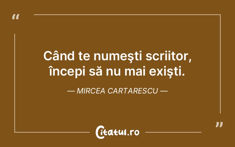 Citat Mircea Cartarescu - citate viata