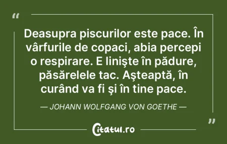 Nu există un drum spre pace. Pacea este... Nu există un drum spre pace. Pacea este...