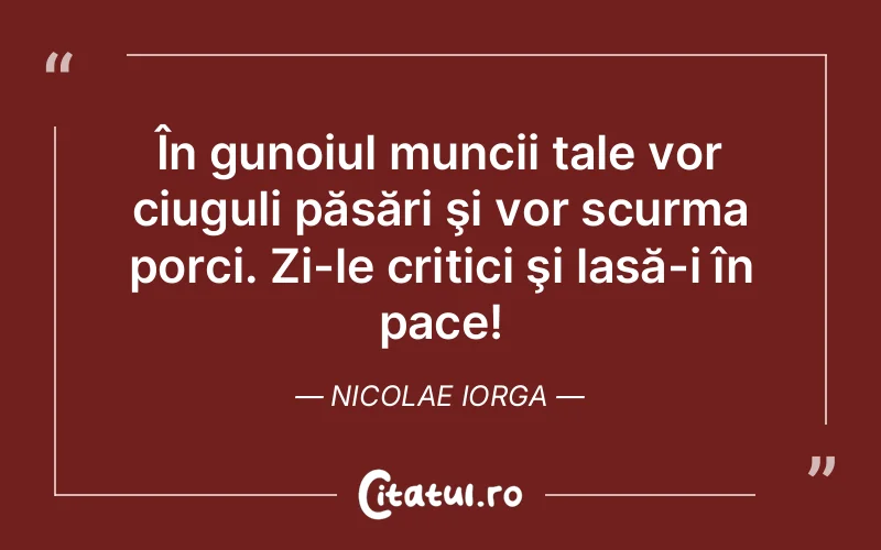 Citat Nicolae Iorga - citate viata
