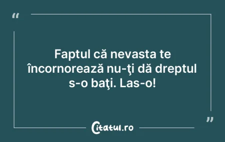 O nevastă gâlcevitoare este ca şi cum...