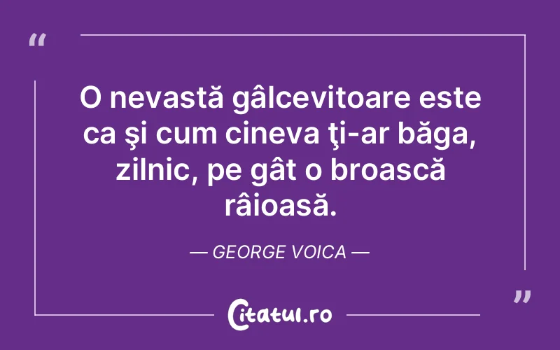 Citat George Voica - citate viata