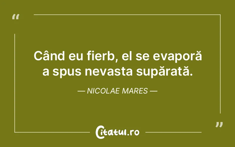 Citat Nicolae Mares - citate viata