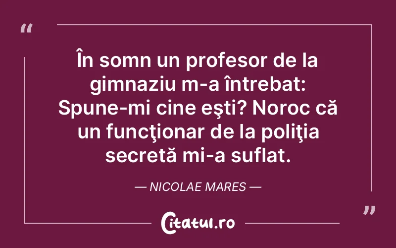 Citat Nicolae Mares - citate viata