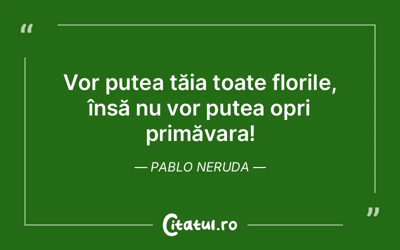 Citat Pablo Neruda - citate viata