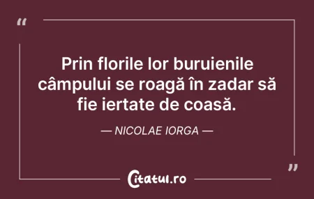 Se cuvine să orânduim şi să facem un... Se cuvine să orânduim şi să facem un...