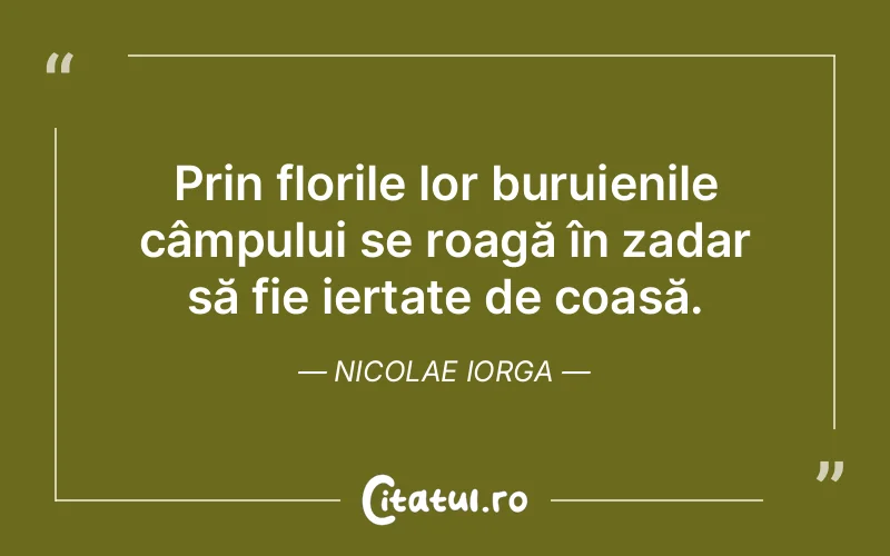 Citat Nicolae Iorga - citate viata
