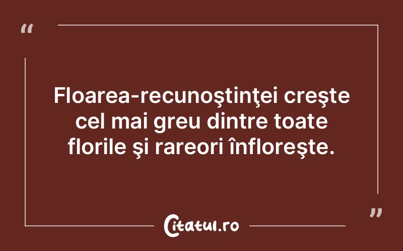 Citat Autor necunoscut - citate viata