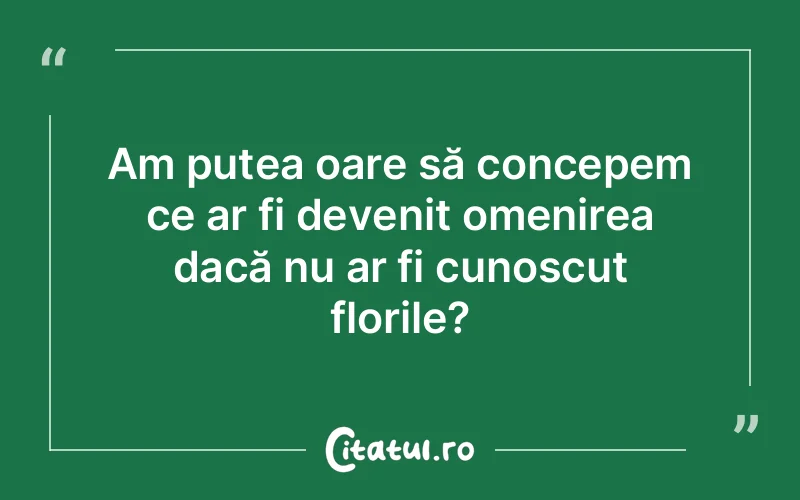 Citat Autor necunoscut - citate viata