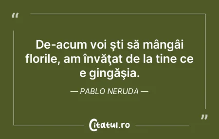 Ești aici doar pentru o scurtă vizită...