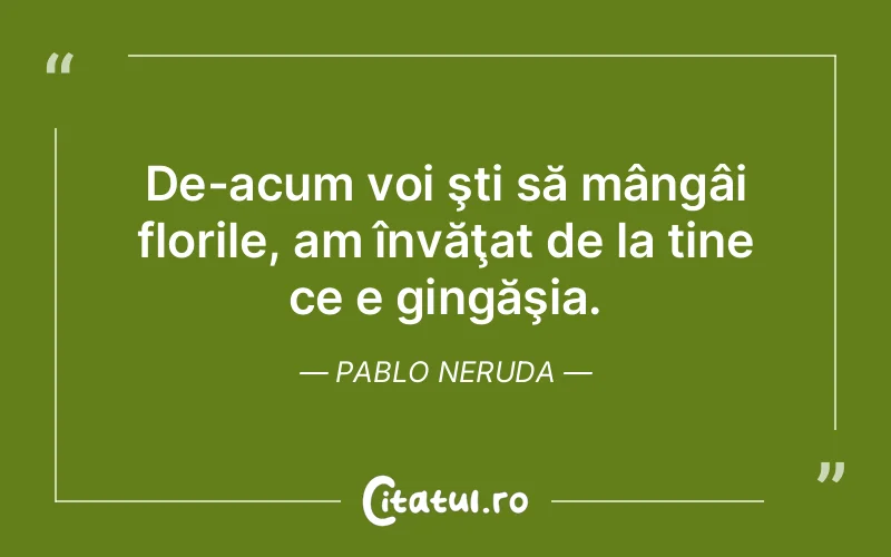 Citat Pablo Neruda - citate viata