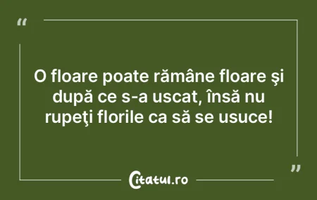 Când o floare înflorește, primăvara ...