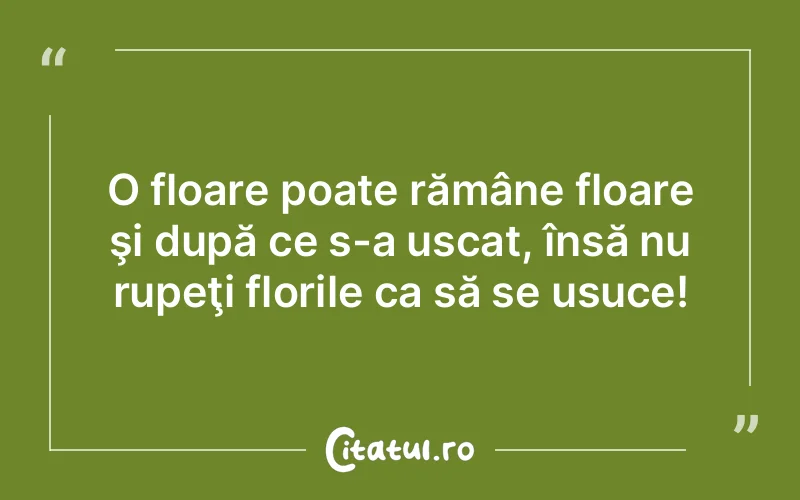 Citat Autor necunoscut - citate viata