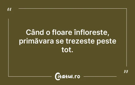 TEORIA RELATIVITĂŢII revizuită: când...