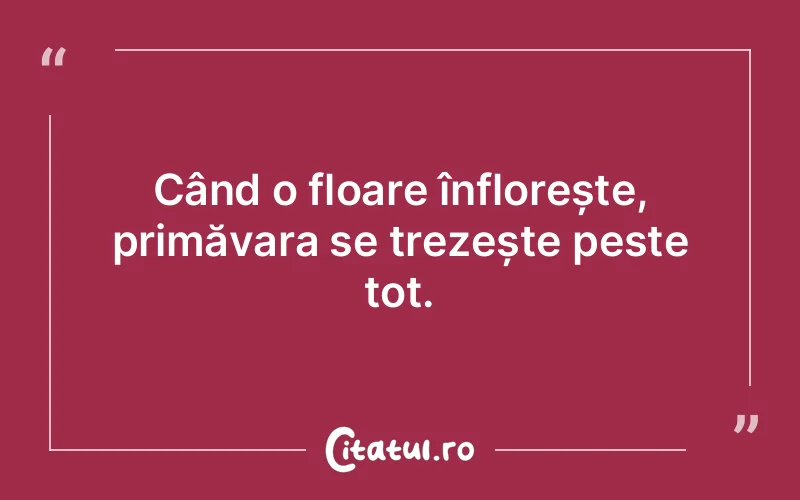 Citat Autor necunoscut - citate viata