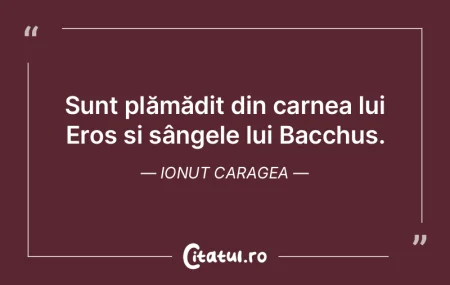 Stramosii mei au batut Europa in lung si...