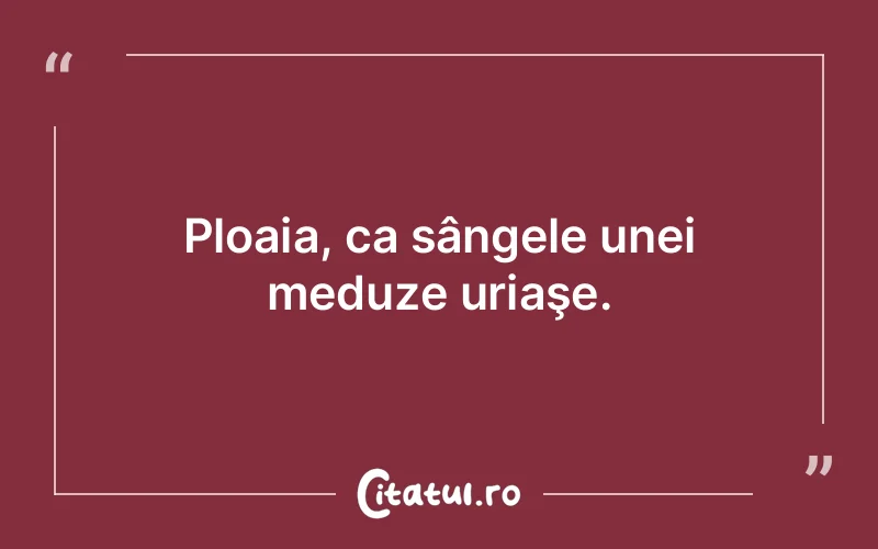 Citat Autor necunoscut - citate viata