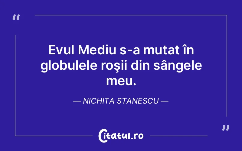 Citat Nichita Stanescu - citate viata