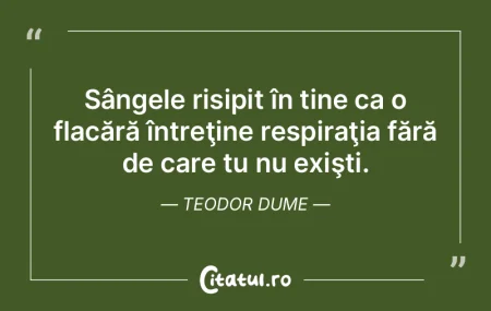 Adevăraţii cai de cursă nu aleargă p...