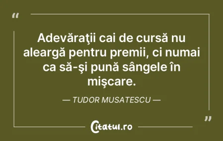 Din cele mai adânci experiențe izvoră... Din cele mai adânci experiențe izvoră...