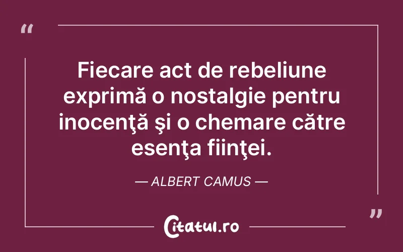 Citat Albert Camus - citate viata