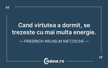 Virtutea e absenta exceselor. Andrei Ple...