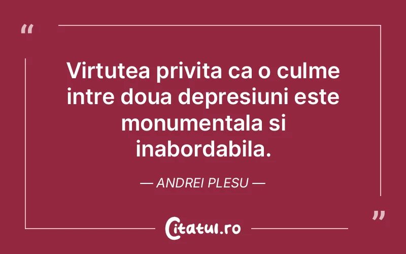 Citat Andrei Plesu - citate viata