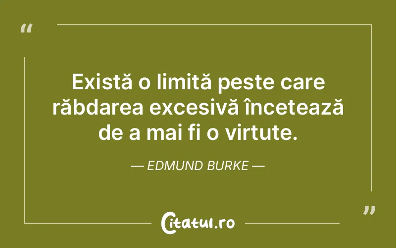 Citat Edmund Burke - citate viata