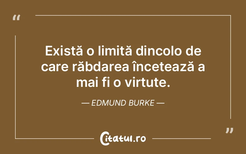 Citat Edmund Burke - citate viata