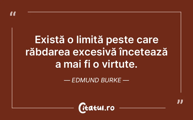 Citat Edmund Burke - citate viata