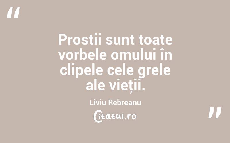 Prostii sunt toate vorbele omului în clipele cele grele ale vieţii. Liviu Rebreanu
