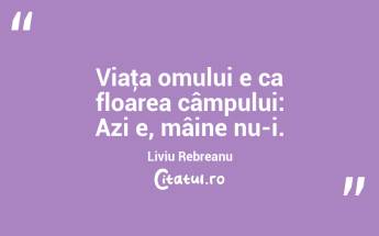 Viaţa omului e ca floarea câmpului: Azi e, mâine nu-i. Liviu Rebreanu...