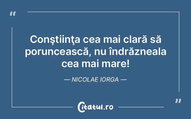 Citat Nicolae Iorga - citate viata