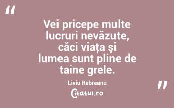 Vei pricepe multe lucruri nevăzute, căci viaţa şi lumea sunt pline de taine grele. Liviu Rebreanu...