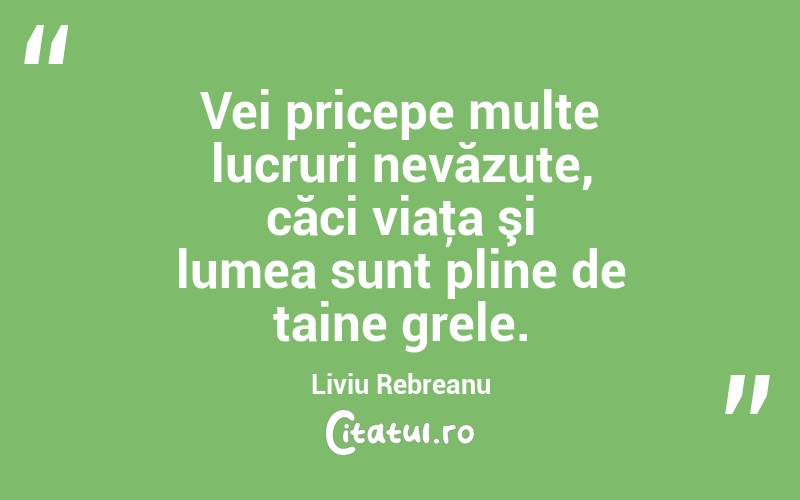 Vei pricepe multe lucruri nevăzute, căci viaţa şi lumea sunt pline de taine grele. Liviu Rebreanu
