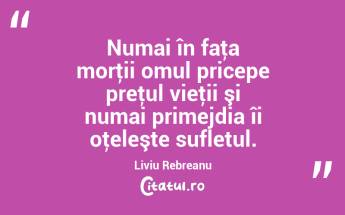 Numai în faţa morţii omul pricepe preţul vieţii şi numai primejdia îi oţeleşte sufletul. Liviu Rebreanu...