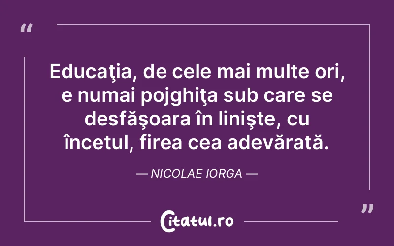 Citat Nicolae Iorga - citate viata