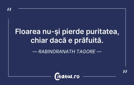 Dacă sexualitatea ar putea rămâne pur... Dacă sexualitatea ar putea rămâne pur...